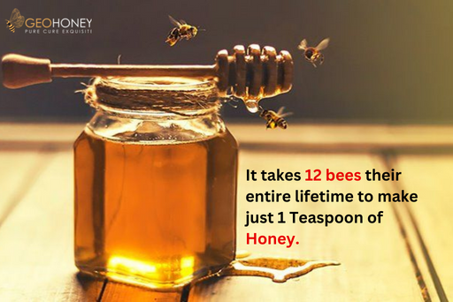 How Much Time Is Required By The Bees To Produce 1 Pound Of Honey?