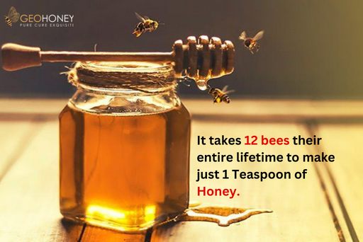 Honey Prices: Reasons For Variable Range | Geohoney