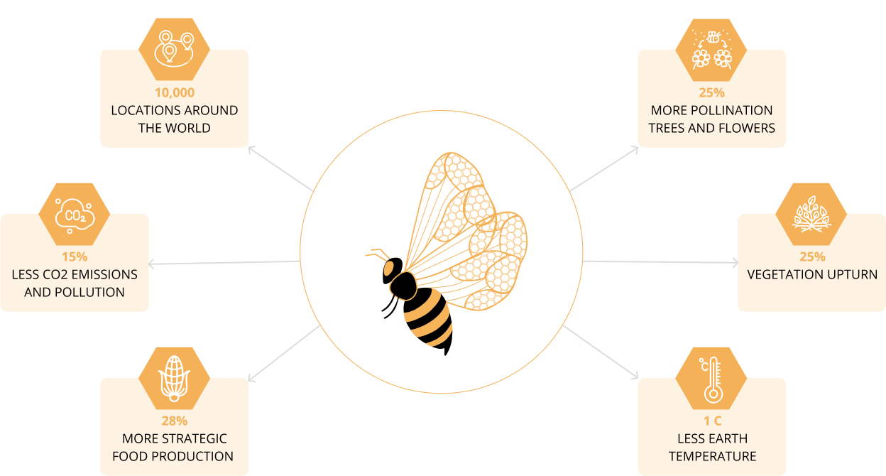 Geohoney Initiative For COP29