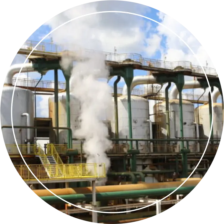 Organic Sugar Production