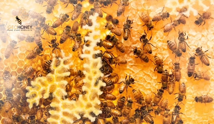 Bees Get A Head Start On Honey Production