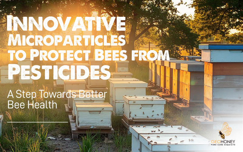 Innovative Microparticles To Protect Bees From Pesticides