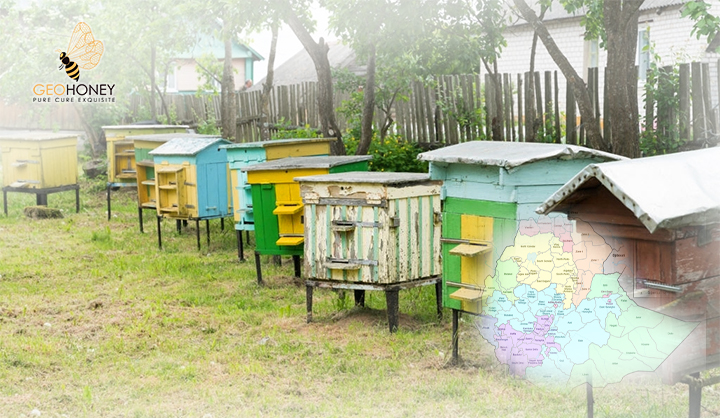 Opportunities And Challenges Of Honey Production In Gomma District Of Jimma Zone, South-West Ethiopia