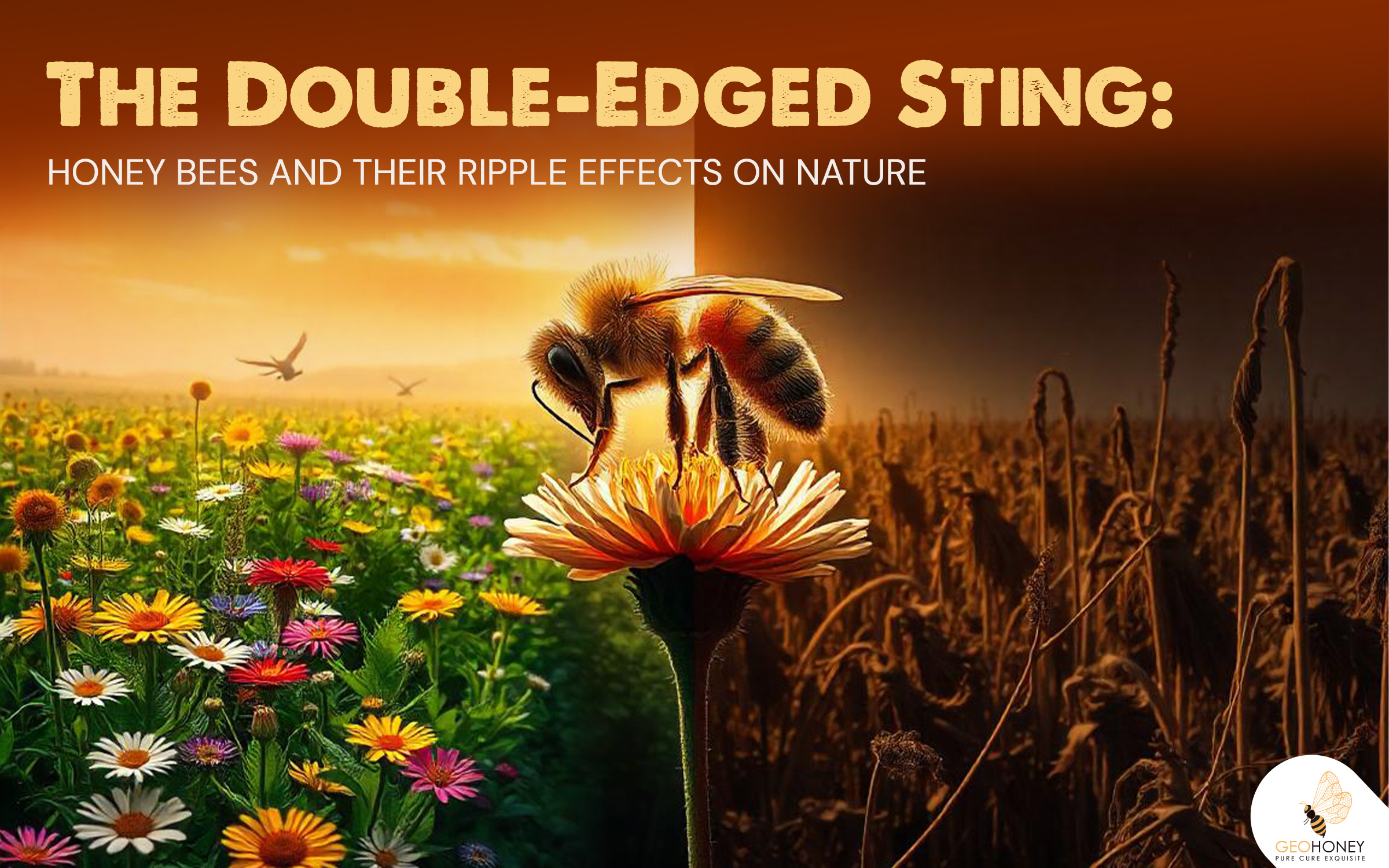 How Honey Bees are Changing Tibetan Grasslands: A Tale of Spillover