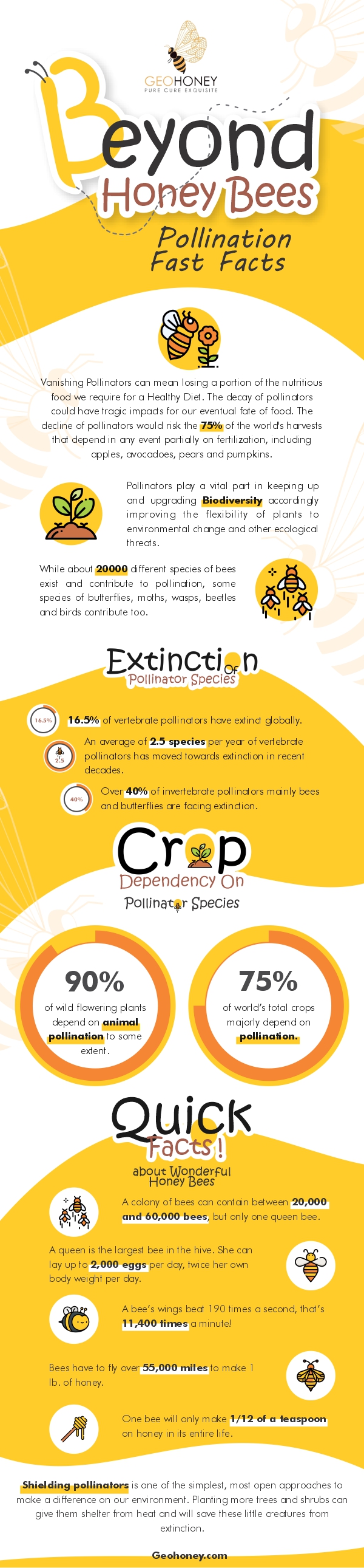 Beyond Honey Bees - Pollination Fast Facts
