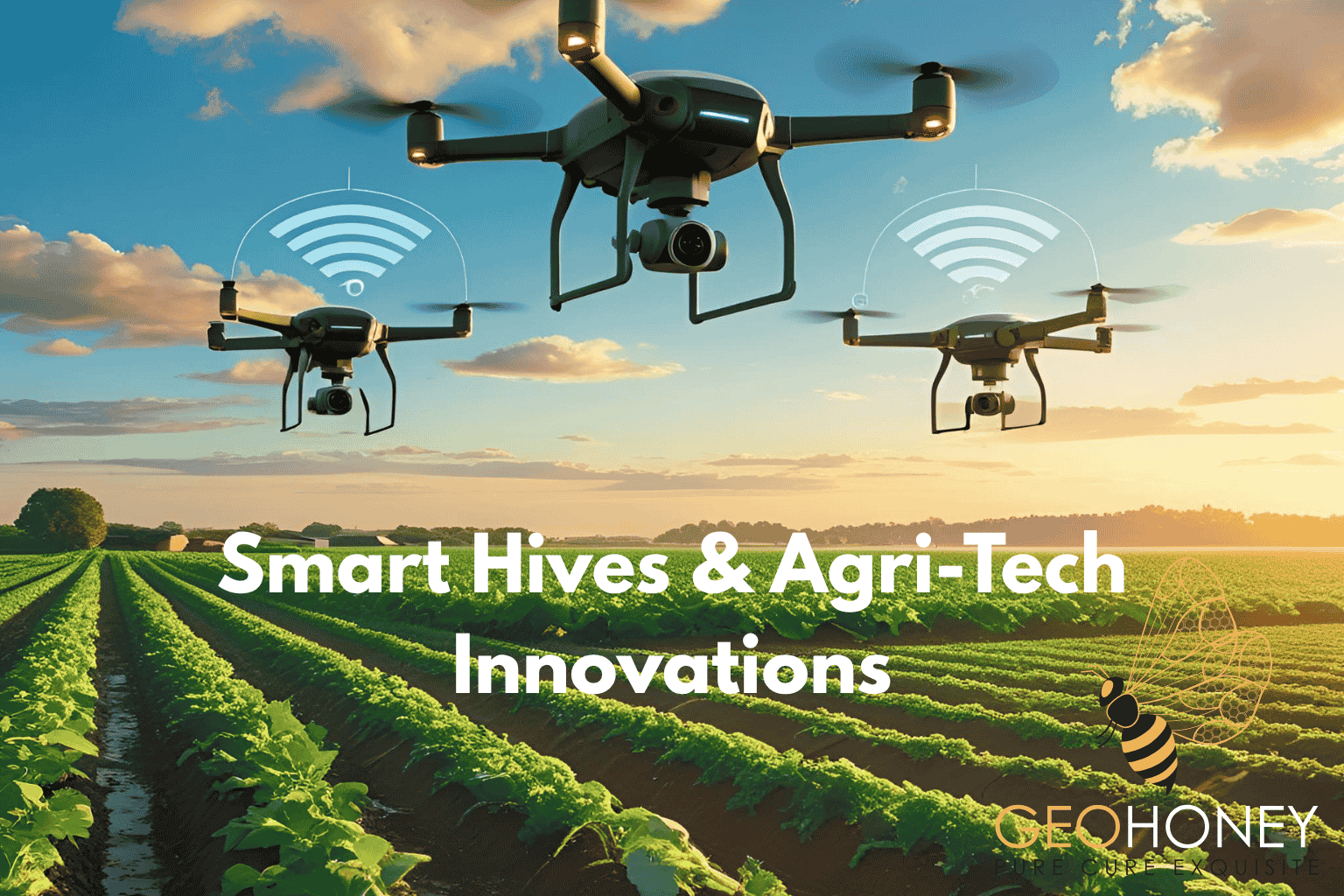 Smart Hives & Agri-Tech Innovations