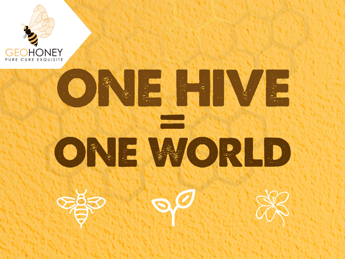 One Hive = One World