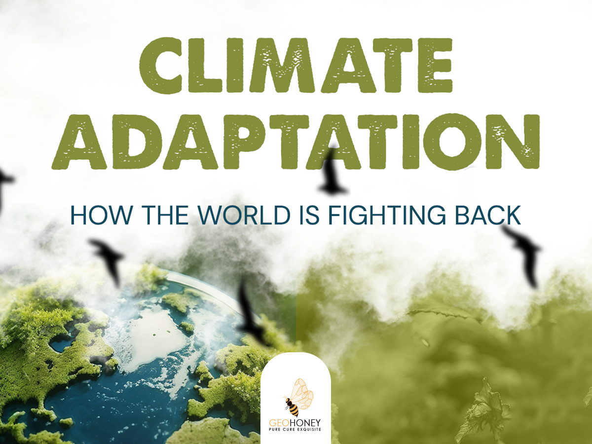 Climate Adaptation