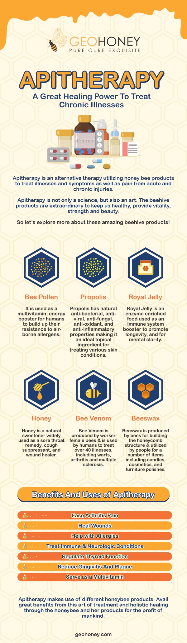 Apitherapy: A Great Healing Power To Treat Chronic Illnesses