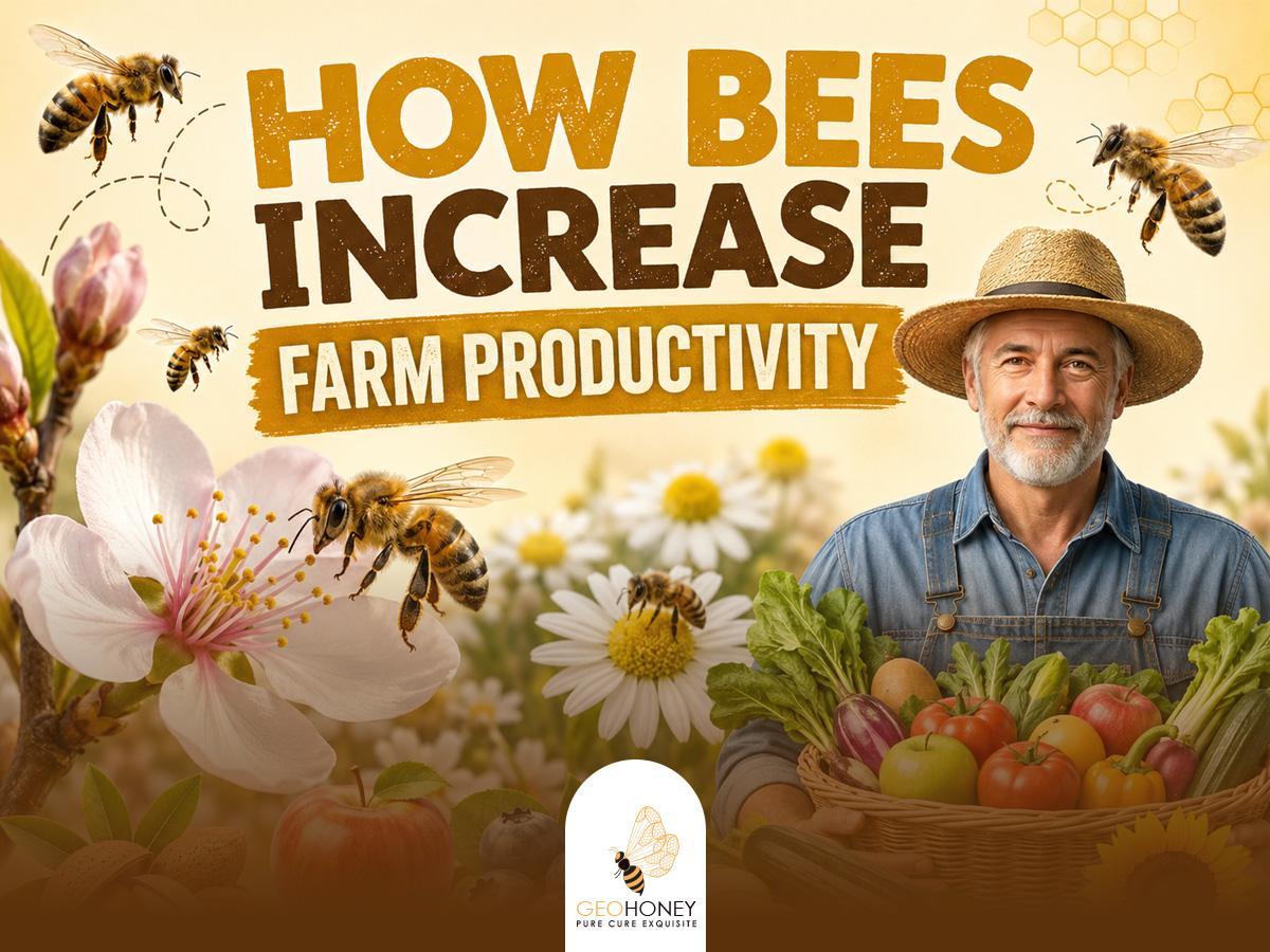 How Bees Increase Farm Productivity