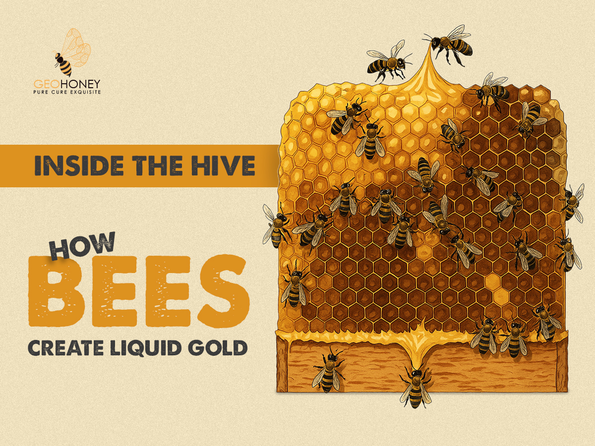 How Bees Create Liquid Gold