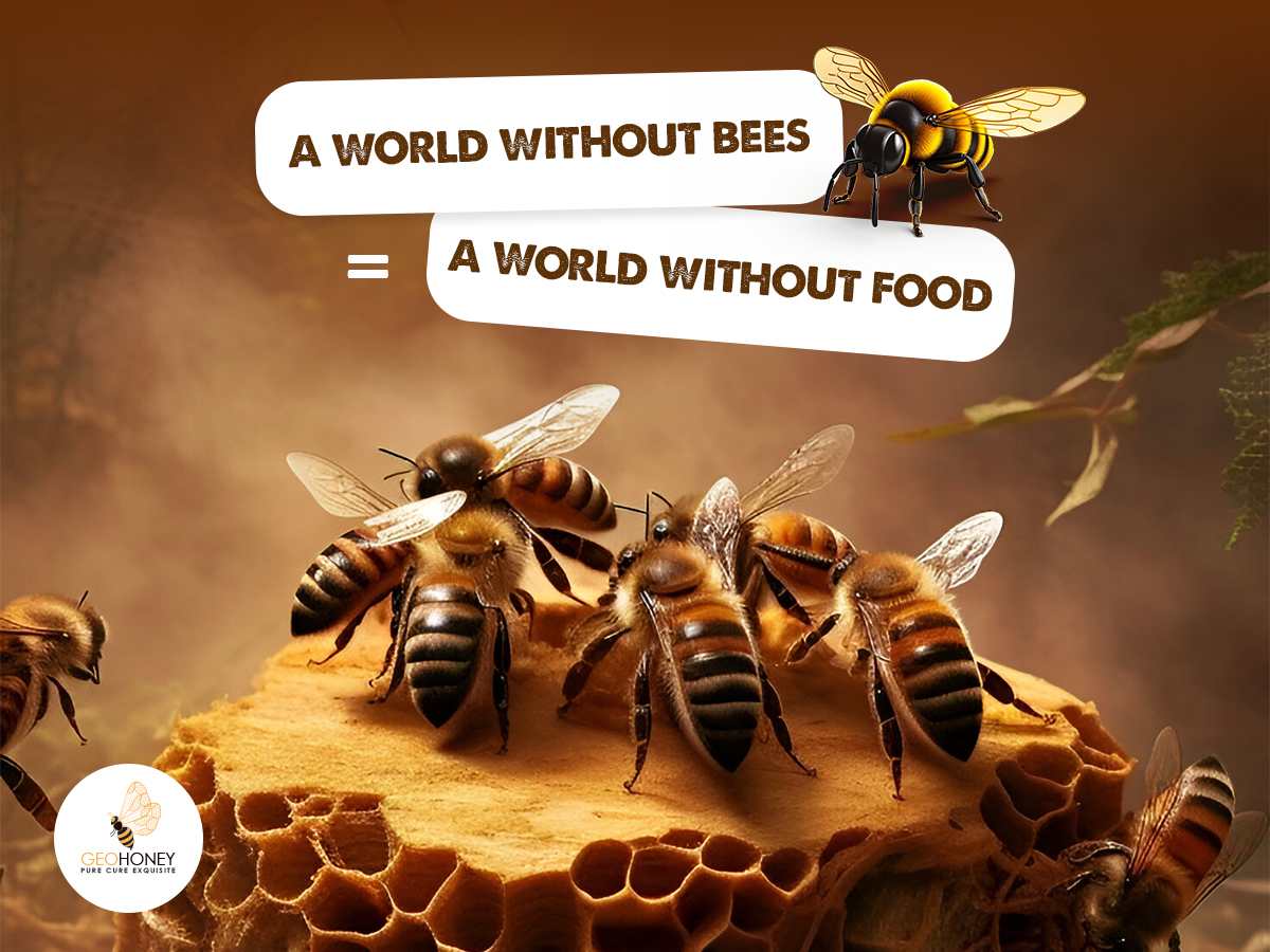 A World Without Bees
