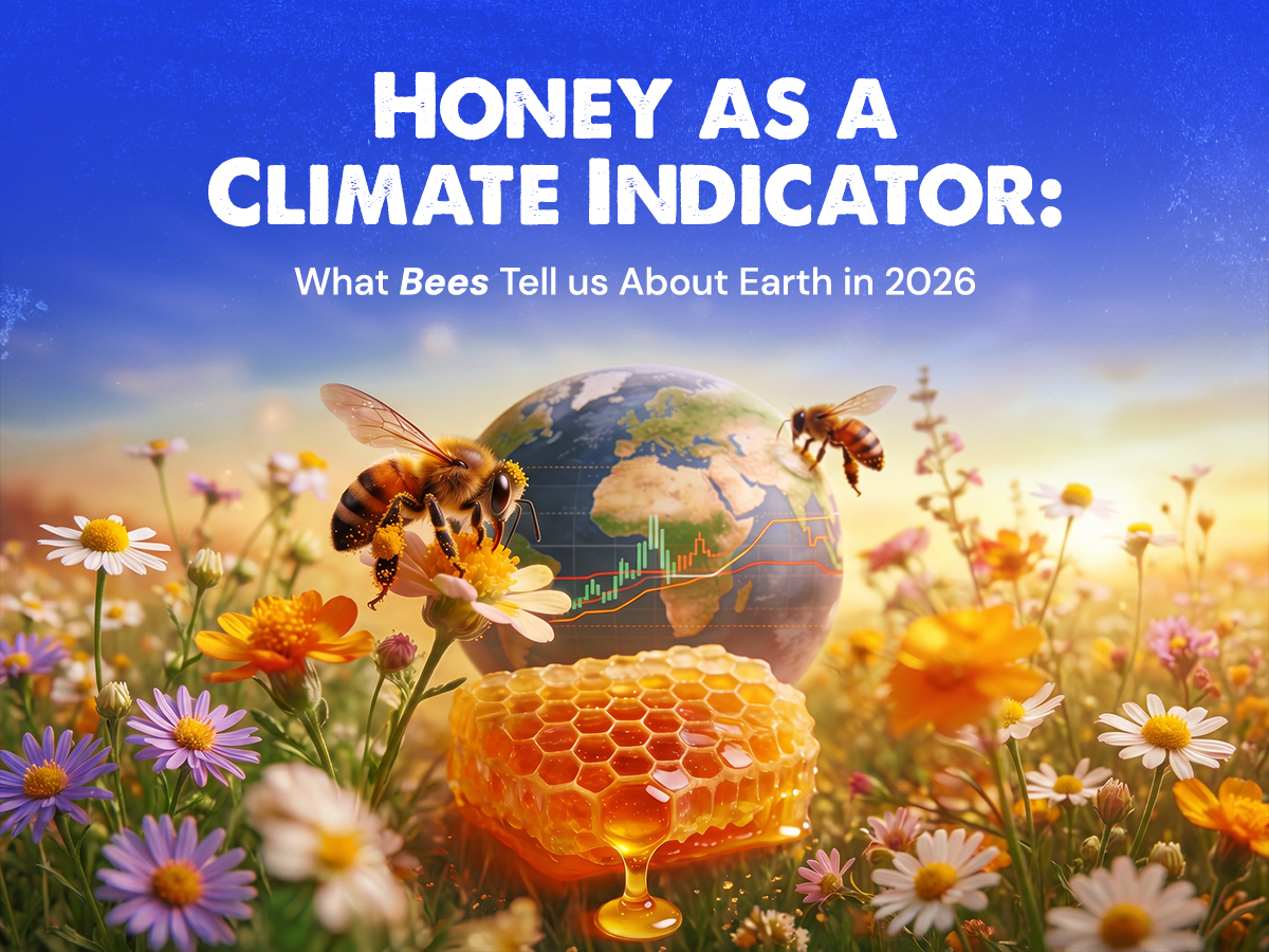 Honey as a Climate Indicator