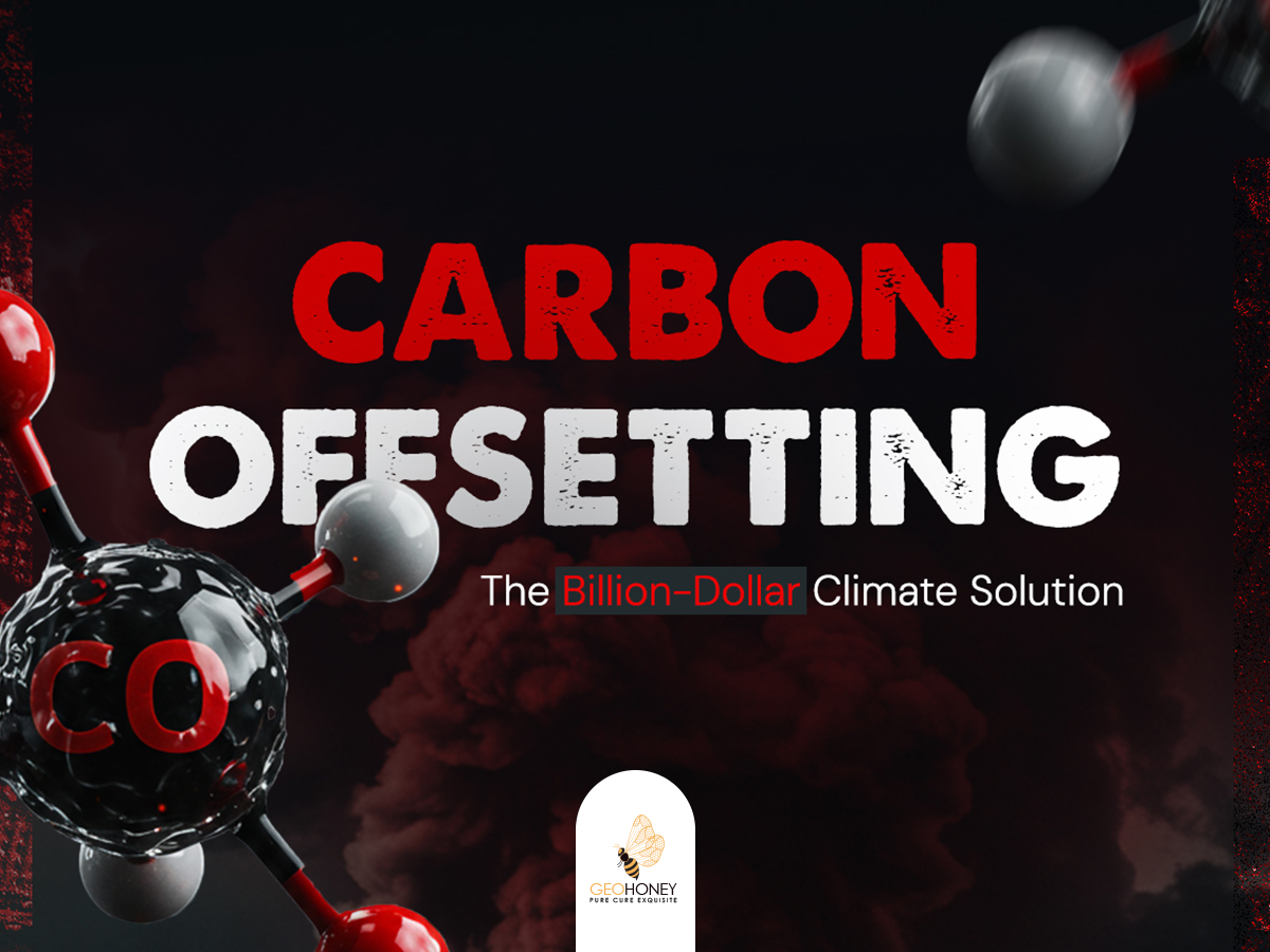 carbon offseting infographics