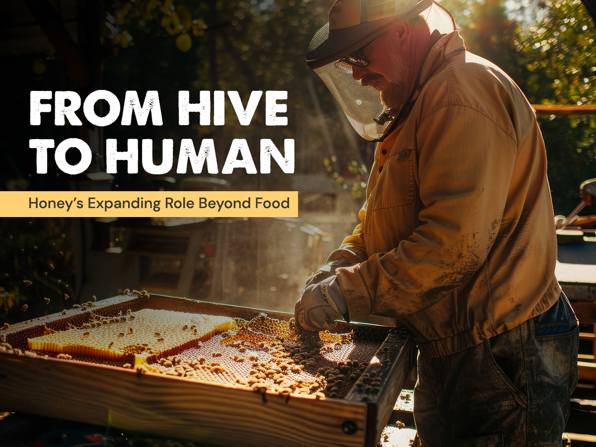 From Hive to Human Honey’s Expanding Role Beyond Food