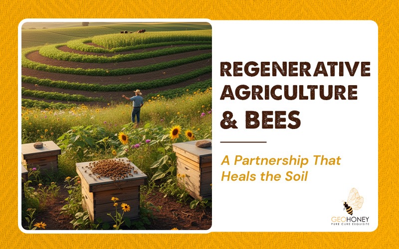 Regenerative Agriculture & Bees: A Partnership That Heals the Soil