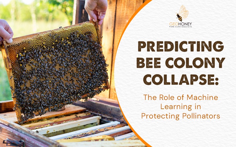 Predicting Bee Colony Collapse: The Role of Machine Learning in Protecting Pollinators