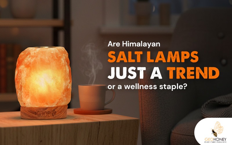 Are Himalayan Salt Lamps Just a Trend or a Wellness Staple?