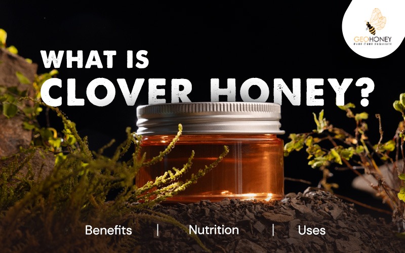 What Is Clover Honey? Uses, Nutrition, and Benefits