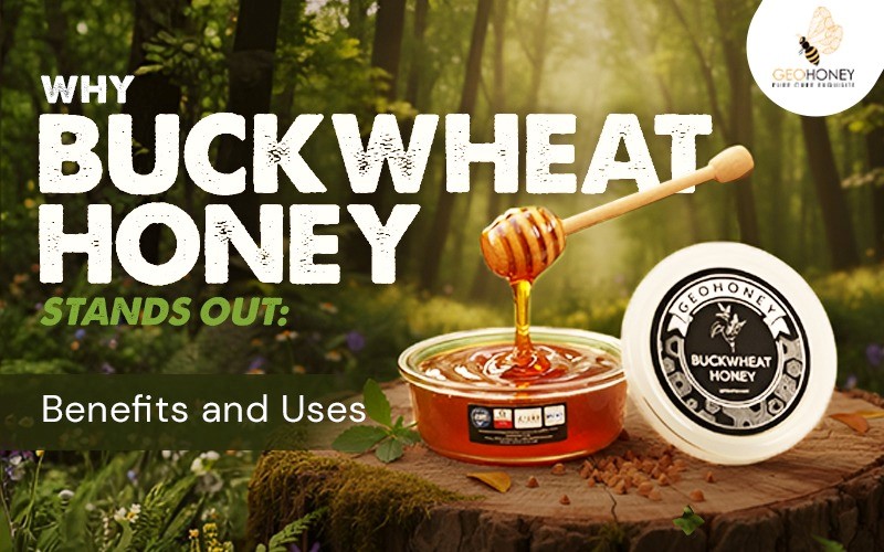 Why Buckwheat Honey Stands Out: Benefits and Uses