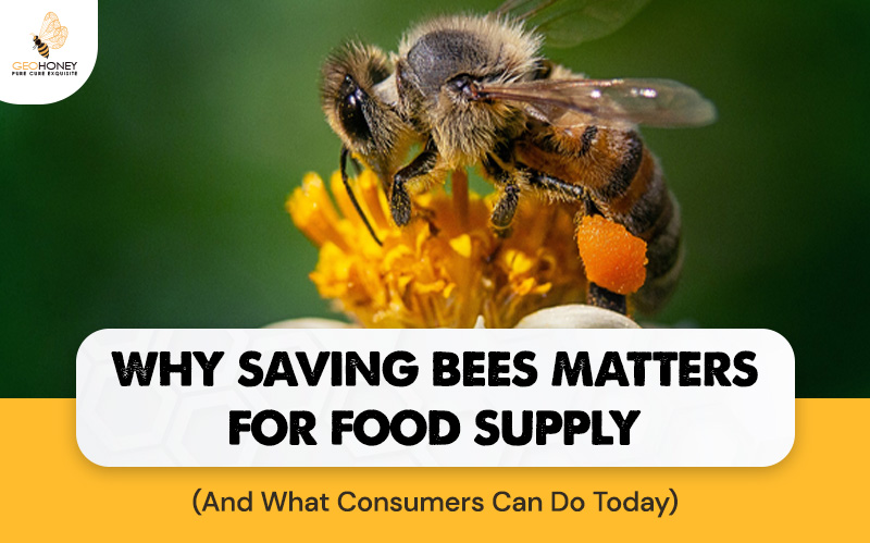 Why Saving Bees Matters for Food Supply (and What Consumers Can Do Today)