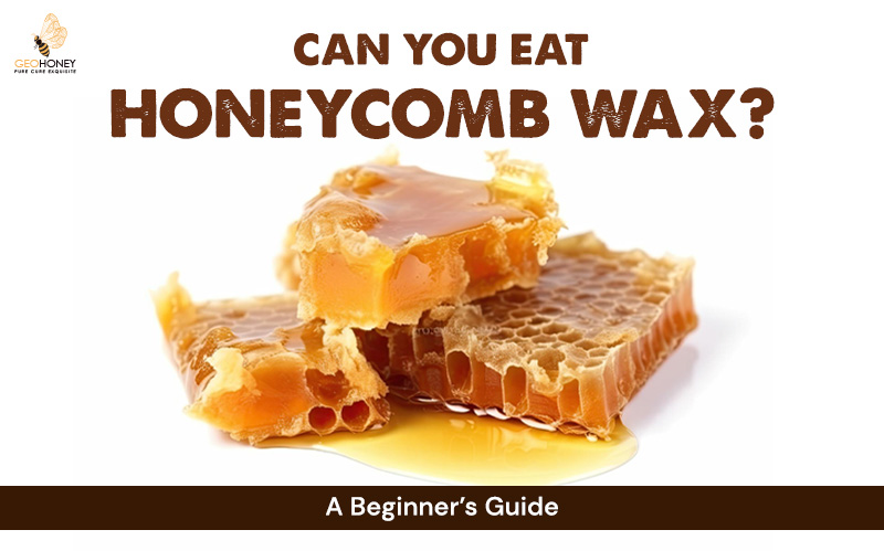 Can You Eat Honeycomb Wax? A Beginner’s Guide