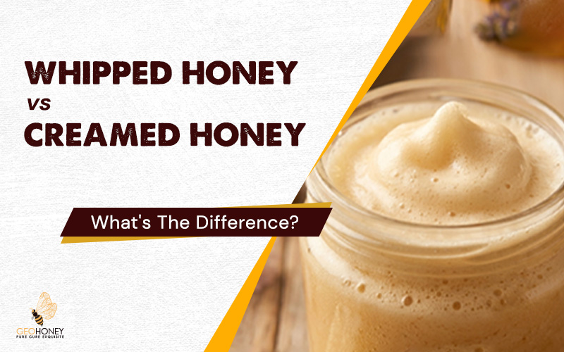 Whipped Honey vs Creamed Honey: What’s the Difference?