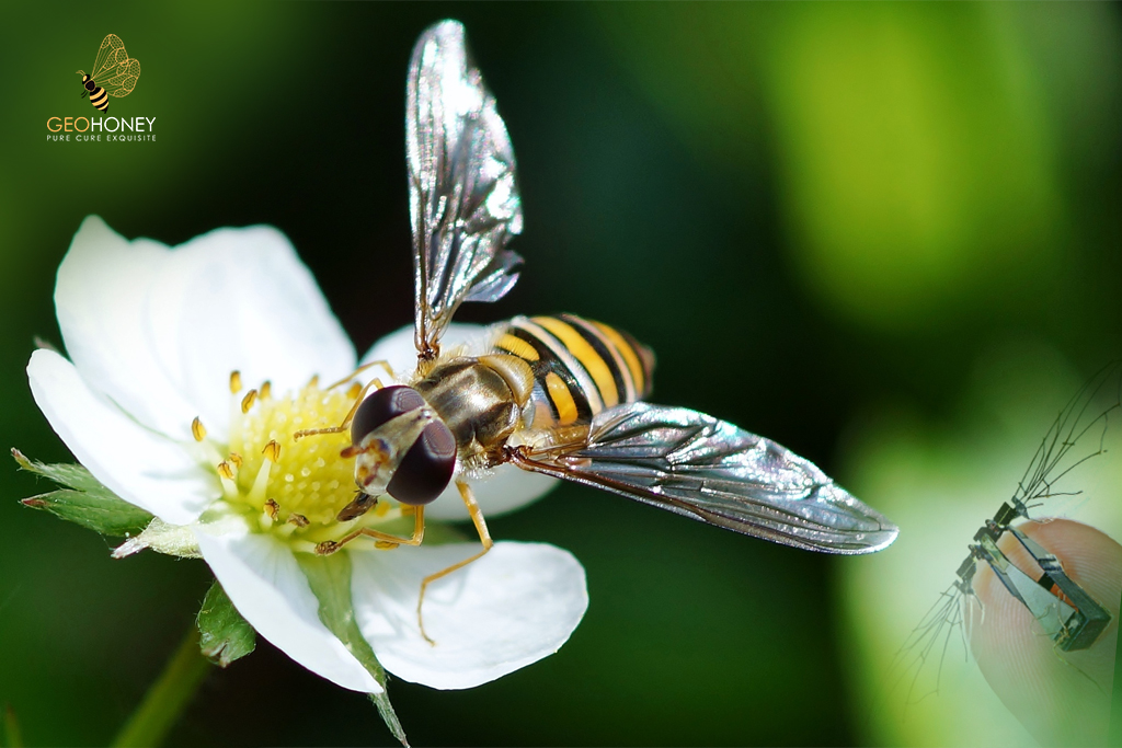 Artificial Pollination Technology