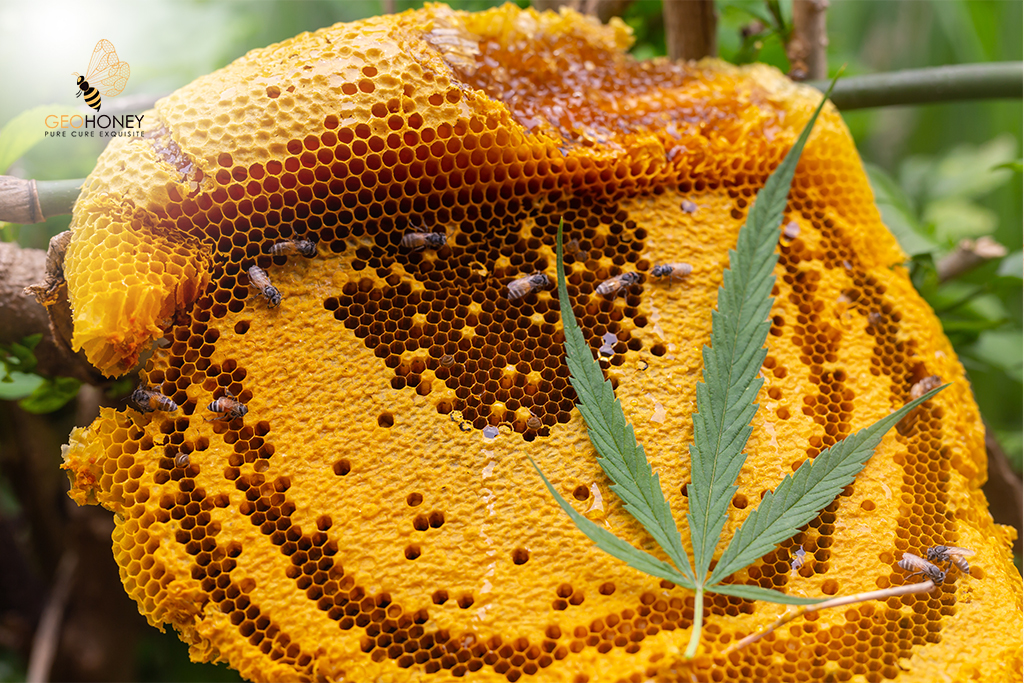 Beeswax