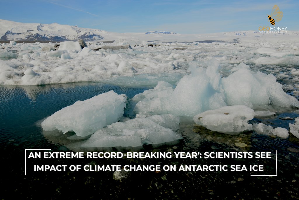 انكماش الجليد البحري في القطب الجنوبي بسبب تغير المناخ. هناك حاجة إلى تخفيضات عاجلة في الانبعاثات لمعالجة هذا العام الذي حطم الأرقام القياسية.