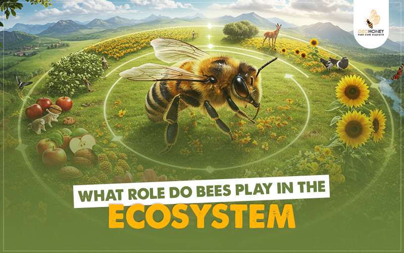 What Role Do Bees Play in the Ecosystem