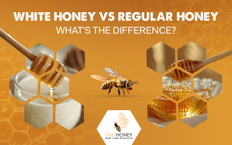 White Honey vs. Regular Honey: What’s the Difference?