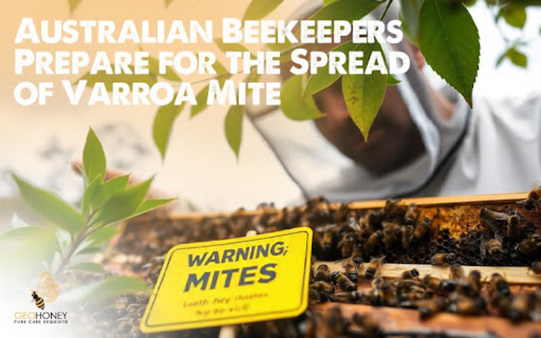 The Spread of Varroa Destructor and Its Impact on Australian Beekeeping