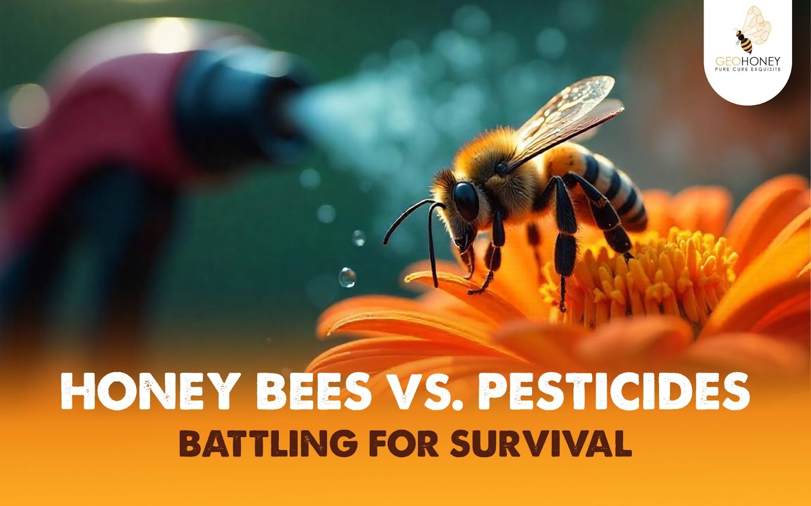 How the World Around Us Affects Honey Bees: A Look at Pesticides and Landscapes