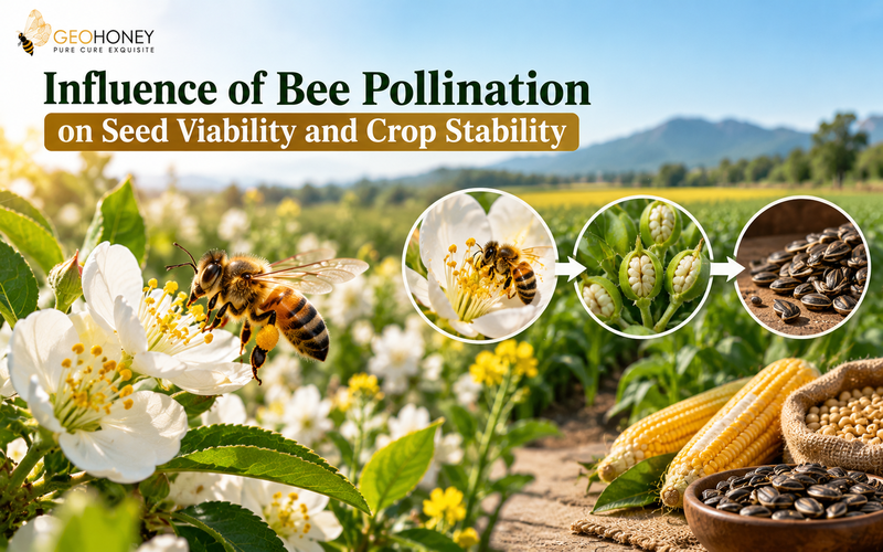 Influence of Bee Pollination on Seed Viability and Crop Stability