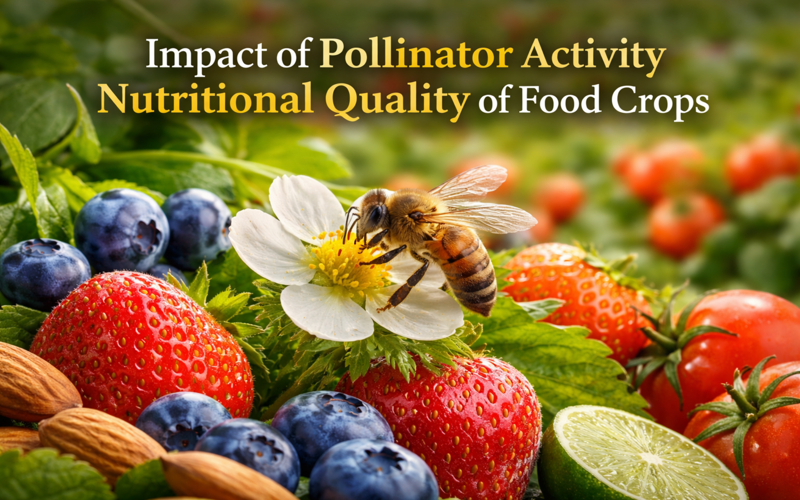 Impact of Pollinator Activity on Nutritional Quality of Food Crops