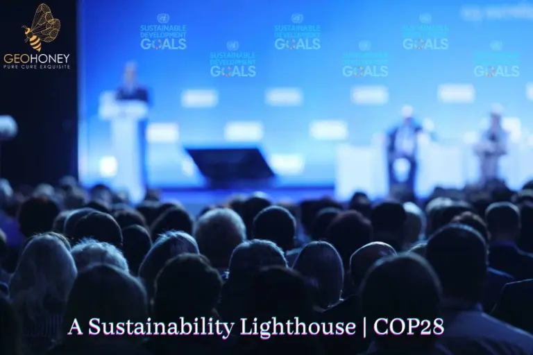مجموعة من الأشخاص يجلسون في قاعة المؤتمرات خلال المؤتمر الثامن والعشرين للأطراف (COP28) في إكسبو 28 في دبي.