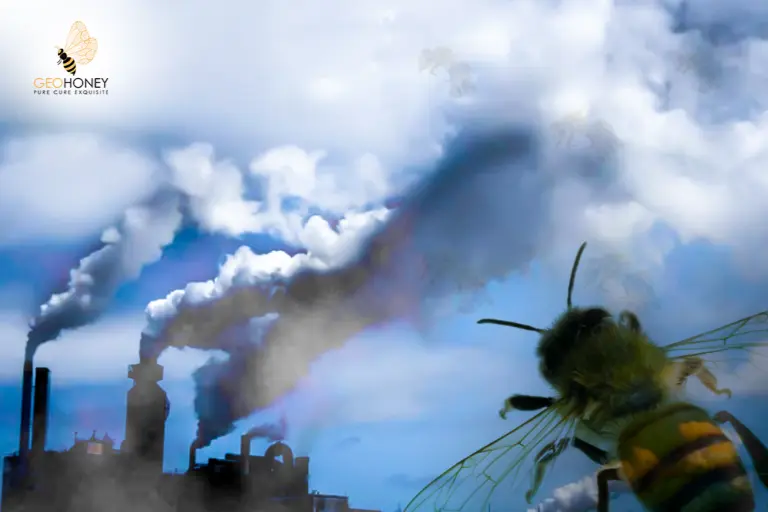 تلوث الهواء: سبب رئيسي وراء حياة نحل العسل القصيرة والمريضة