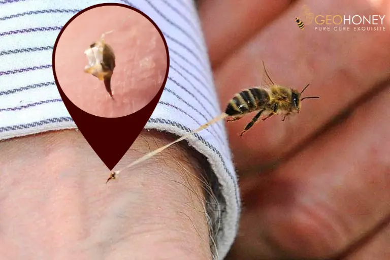 لماذا يموت النحل بعد اللسع؟