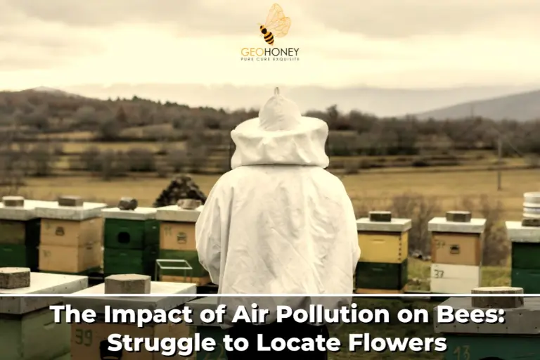 تأثير تلوث الهواء على النحل: النضال من أجل تحديد أماكن الزهور