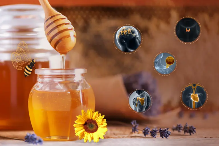Geohoney يقدم علاجات عسل أحادي الزهرة لأعضاء الجسم المختلفة