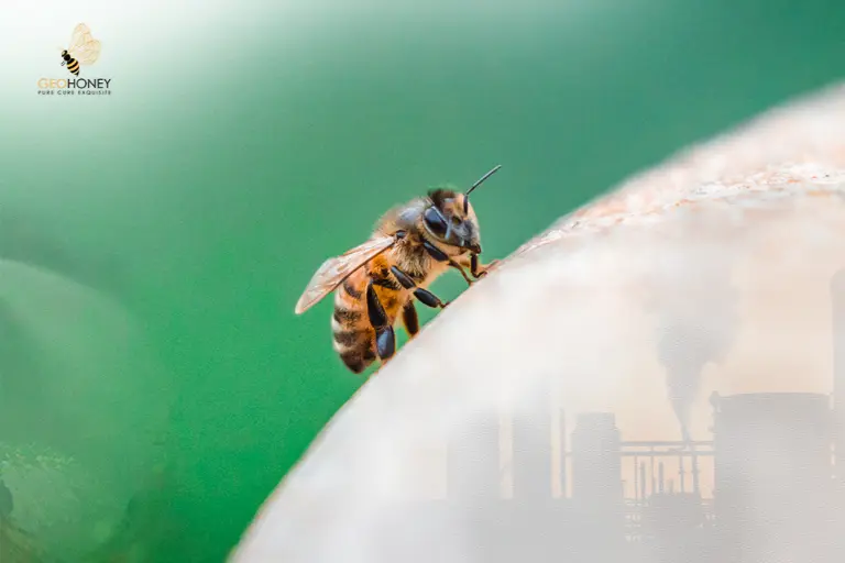 تسلسل الجيل التالي - طريقة فعالة لإنقاذ النحل من عوامل الإجهاد المتعددة