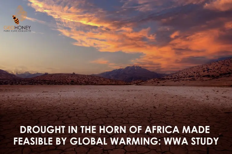الجفاف في القرن الأفريقي الناجم عن الاحتباس الحراري - رسم توضيحي يظهر أرضًا متشققة وجافة مع سماء غائمة في الخلفية.