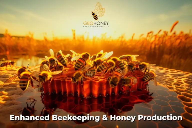 تقنيات جديدة لتعزيز تربية النحل وإنتاج العسل