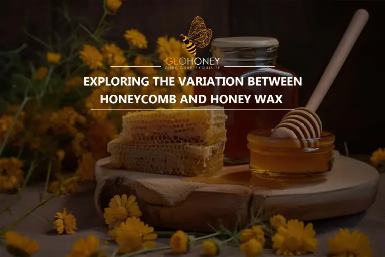 ما هو قرص العسل؟ هل يختلف قرص العسل عن شمع العسل؟