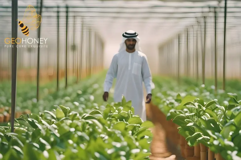 يتبنى المزارعون في الإمارات العربية المتحدة أساليب مبتكرة لمكافحة تغير المناخ ، بما في ذلك التقنيات المتقدمة وتقنيات الزراعة المستدامة.
