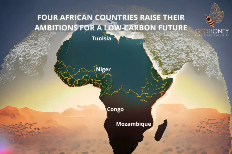 تُظهر أربعة بلدان أفريقية ، وهي جمهورية الكونغو الديمقراطية وموزمبيق والنيجر وتونس ، التزامها بالعمل المناخي.