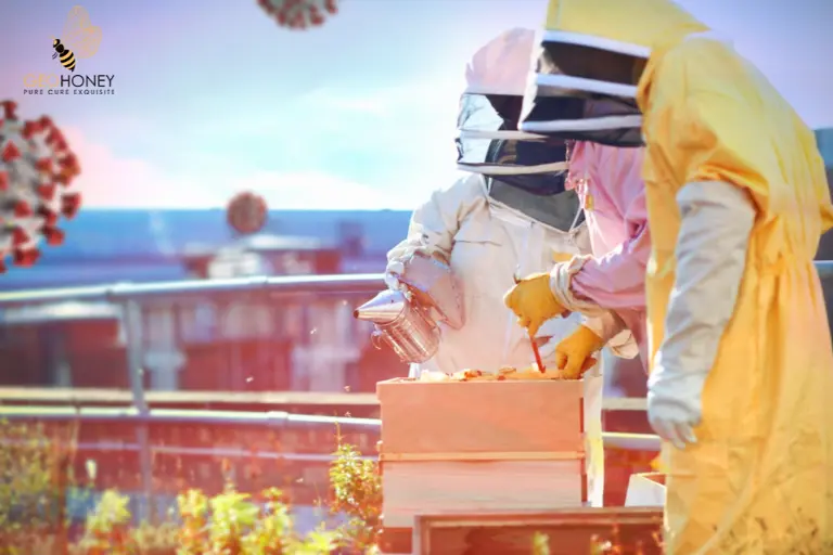 Beekeepers and Pollination are Affected by COVID-19 Pandemic