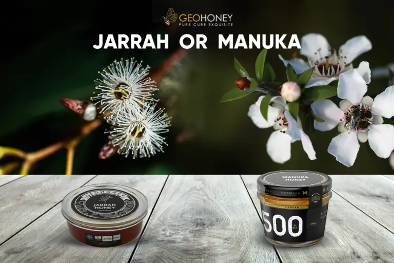 مانوكا أم عسل الجارا؟ لنقارن بين أفضل نوعين من العسل.