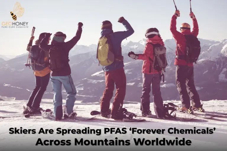 يقوم المتزلجون بنشر PFAS عبر الجبال في جميع أنحاء العالم